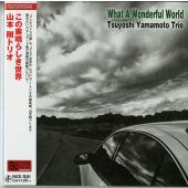 Tsuyoshi Yamamoto Trio - What a Wonderful World
