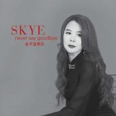 Skye - Never Say Goodbye