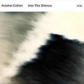 Avishai Cohen - Into the Silence